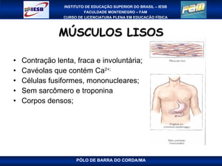 MÚSCULOS LISOS Contração lenta, fraca e involuntária; Cavéolas que contém Ca 2+; Células fusiformes, mononucleares; Sem sarcômero e troponina Corpos densos; PÓLO DE BARRA DO CORDA/MA 