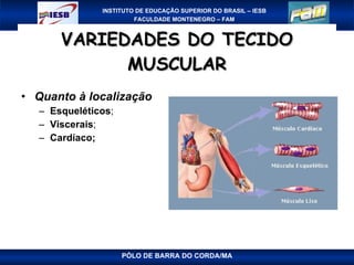 VARIEDADES DO TECIDO MUSCULAR Quanto à localização Esqueléticos ; Viscerais ; Cardíaco; PÓLO DE BARRA DO CORDA/MA 