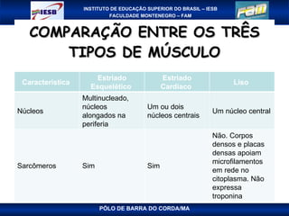 COMPARAÇÃO ENTRE OS TRÊS TIPOS DE MÚSCULO PÓLO DE BARRA DO CORDA/MA Característica  Estriado Esquelético  Estriado Cardíaco  Liso  Núcleos Multinucleado, núcleos alongados na periferia Um ou dois núcleos centrais Um núcleo central Sarcômeros Sim Sim Não. Corpos densos e placas densas apoiam microfilamentos em rede no citoplasma. Não expressa troponina 