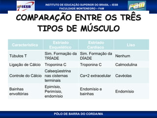 COMPARAÇÃO ENTRE OS TRÊS TIPOS DE MÚSCULO PÓLO DE BARRA DO CORDA/MA Característica  Estriado Esquelético  Estriado Cardíaco  Liso  Túbulos T Sim. Formação da TRÍADE Sim. Formação da DÍADE Nenhum Ligação de Cálcio Troponina C Troponina C Calmodulina Controle do Cálcio Calseqüestrina nas cisternas terminais Ca+2 extracelular Cavéolas Bainhas envoltórias Epimísio, Perimísio, endomísio Endomísio e bainhas Endomísio 