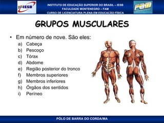 GRUPOS MUSCULARES Em número de nove. São eles:  Cabeça      Pescoço Tórax Abdome Região posterior do tronco Membros superiores                Membros inferiores   Órgãos dos sentidos   Períneo  PÓLO DE BARRA DO CORDA/MA 