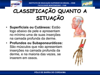 CLASSIFICAÇÃO QUANTO A SITUAÇÃO Superficiais ou Cutâneos:  Estão logo abaixo da pele e apresentam no mínimo uma de suas inserções na camada profunda da derme. Profundos ou Subaponeuróticos:  São músculos que não apresentam inserções na camada profunda da derme, e na maioria das vezes, se inserem em ossos.  PÓLO DE BARRA DO CORDA/MA 
