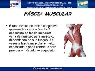FÁSCIA MUSCULAR É uma lâmina de tecido conjuntivo que envolve cada músculo. A espessura da fáscia muscular varia de músculo para músculo, dependendo de sua função. Às vezes a fáscia muscular é muito espessada e pode contribuir para prender o músculo ao esqueleto. PÓLO DE BARRA DO CORDA/MA 