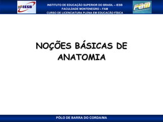 NOÇÕES BÁSICAS DE ANATOMIA PÓLO DE BARRA DO CORDA/MA 