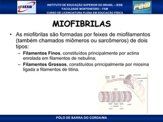 MIOFIBRILAS As miofibrilas são formadas por feixes de miofilamentos (também chamados miômeros ou sarcômeros) de dois tipos: Filamentos Finos , constituídos principalmente por actina enrolada em filamentos de nebulina; Filamentos Grossos , constituídos principalmente por miosina ligada a filamentos de titina. PÓLO DE BARRA DO CORDA/MA 