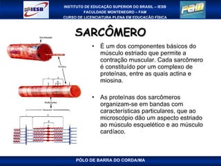 SARCÔMERO É um dos componentes básicos do músculo estriado que permite a contração muscular. Cada sarcômero é constituído por um complexo de proteínas, entre as quais actina e miosina.   As proteínas dos sarcômeros organizam-se em bandas com características particulares, que ao microscópio dão um aspecto estriado ao músculo esquelético e ao músculo cardíaco. PÓLO DE BARRA DO CORDA/MA 