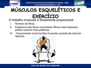 MÚSCULOS ESQUELÉTICOS E EXERCÍCIO O trabalho muscular é diretamente proporcional: Número de fibras.  Espessura das fibras musculares (fibras mais espessas podem exercer mais potência). Comprimento inicial da fibra muscular quando ela está em repouso. PÓLO DE BARRA DO CORDA/MA 