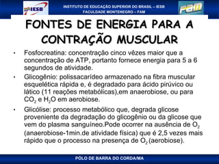 FONTES DE ENERGIA PARA A CONTRAÇÃO MUSCULAR Fosfocreatina:  concentração cinco vêzes maior que a concentração de ATP, portanto fornece energia para 5 a 6 segundos de atividade.  Glicogênio: polissacarídeo armazenado na fibra muscular esquelética rápida e, é degradado para ácido pirúvico ou lático (11 reações metabólicas),em anaerobiose, ou para CO 2  e H 2 O em aerobiose. Glicólise: processo metabólico que, degrada glicose proveniente da degradação do glicogênio ou da glicose que vem do plasma sanguíneo.Pode ocorrer na ausência de O 2  (anaerobiose-1min.de atividade física) que é 2,5 vezes mais rápido que o processo na presença de O 2  (aerobiose). PÓLO DE BARRA DO CORDA/MA 