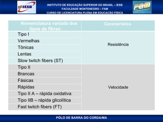 PÓLO DE BARRA DO CORDA/MA Nomenclatura variada dos tipos de fibras Característica  Tipo I Resistência Vermelhas Tônicas Lentas Slow twitch fibers (ST) Tipo II Velocidade Brancas Fásicas Rápidas Tipo II A – rápida oxidativa Tipo IIB – rápida glicolítica Fast twitch fibers (FT) 