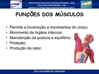 FUNÇÕES DOS MÚSCULOS Permite a locomoção e movimentos do corpo; Movimento de órgãos internos; Manutenção da postura e equilíbrio; Proteção; Produção de calor. PÓLO DE BARRA DO CORDA/MA 