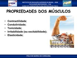 PROPRIEDADES DOS MÚSCULOS Contractilidade ; Condutividade; Tonicidade; Irritabilidade (ou excitabilidade);   Elasticidade;   PÓLO DE BARRA DO CORDA/MA 