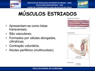 MÚSCULOS ESTRIADOS Apresentam-se como listas transversais; São vasculares;  Formados por células alongadas, cilíndricas; Contração voluntária; Núcleo periférico (multinuclear); PÓLO DE BARRA DO CORDA/MA 