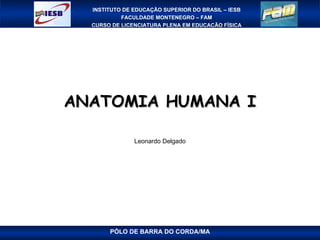 ANATOMIA HUMANA I Leonardo Delgado PÓLO DE BARRA DO CORDA/MA 