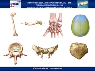 PÓLO DE BARRA DO CORDA/MA 