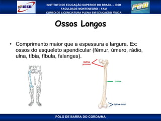 Ossos Longos Comprimento maior que a espessura e largura. Ex: ossos do esqueleto apendicular (fêmur, úmero, rádio, ulna, tíbia, fíbula, falanges). PÓLO DE BARRA DO CORDA/MA 