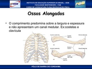 Ossos Alongados PÓLO DE BARRA DO CORDA/MA O comprimento predomina sobre a largura e espessura e não apresentam um canal medular. Ex:costelas e clavícula 