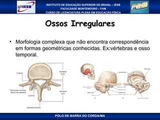 Ossos Irregulares PÓLO DE BARRA DO CORDA/MA Morfologia complexa que não encontra correspondência em formas geométricas conhecidas. Ex:vértebras e osso temporal. 