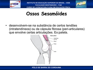Ossos Sesamóides desenvolvem-se na substância de certos tendões (intratendíneos) ou da cápsula fibrosa (peri-articulares) que envolve certas articulações. Ex:patela. PÓLO DE BARRA DO CORDA/MA 