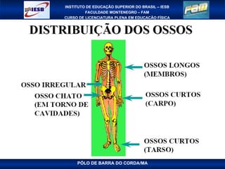 PÓLO DE BARRA DO CORDA/MA 