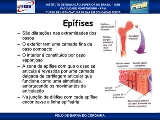 Epífises  São dilatações nas extremidades dos ossos O exterior tem uma camada fina de osso compacto O interior é constituído por osso esponjoso A zona da epífise com que o osso se articula é revestida por uma camada delgada de cartilagem articular que funciona como uma almofada, amortecendo os movimentos da articulação Na junção da diáfise com cada epífise encontra-se a linha epifisária PÓLO DE BARRA DO CORDA/MA 