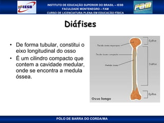 Diáfises  De forma tubular, constitui o eixo longitudinal do osso É um cilindro compacto que contem a cavidade medular, onde se encontra a medula óssea. PÓLO DE BARRA DO CORDA/MA 