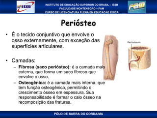 Periósteo É o tecido conjuntivo que envolve o osso externamente, com exceção das superfícies articulares. Camadas: Fibrosa (saco periósteo):  é a camada mais externa, que forma um saco fibroso que envolve o osso.  Osteogênica:  é a camada mais interna, que tem função osteogênica, permitindo o crescimento ósseo em espessura. Sua responsabilidade é formar o calo ósseo na recomposição das fraturas. PÓLO DE BARRA DO CORDA/MA 