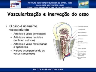 Vascularização e inervação do osso O osso é ricamente vascularizado Artérias e veias periosteais Artérias e veias nutrícias (forâmen nutrício) Artérias e veias metafisárias e epifisárias Nervos acompanhando os vasos sanguíneos PÓLO DE BARRA DO CORDA/MA 
