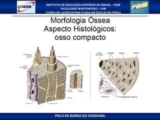 PÓLO DE BARRA DO CORDA/MA 