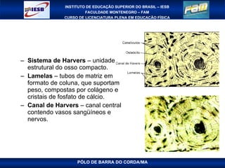 Sistema de Harvers  – unidade estrutural do osso compacto. Lamelas  – tubos de matriz em formato de coluna, que suportam peso, compostas por colágeno e cristais de fosfato de cálcio. Canal de Harvers  – canal central contendo vasos sangüíneos e nervos. PÓLO DE BARRA DO CORDA/MA 