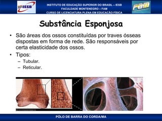Substância Esponjosa São áreas dos ossos constituídas por traves ósseas dispostas em forma de rede. São responsáveis por certa elasticidade dos ossos. Tipos: Tubular. Reticular. PÓLO DE BARRA DO CORDA/MA 