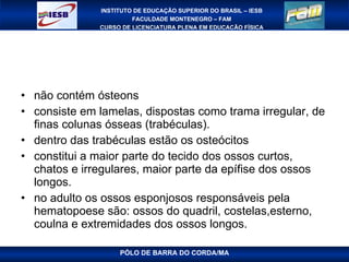 não contém ósteons consiste em lamelas, dispostas como trama irregular, de finas colunas ósseas (trabéculas). dentro das trabéculas estão os osteócitos constitui a maior parte do tecido dos ossos curtos, chatos e irregulares, maior parte da epífise dos ossos longos. no adulto os ossos esponjosos responsáveis pela hematopoese são: ossos do quadril, costelas,esterno, coulna e extremidades dos ossos longos. PÓLO DE BARRA DO CORDA/MA 