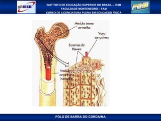 PÓLO DE BARRA DO CORDA/MA 