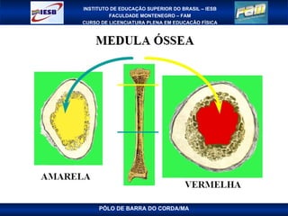 PÓLO DE BARRA DO CORDA/MA 