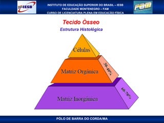 PÓLO DE BARRA DO CORDA/MA 