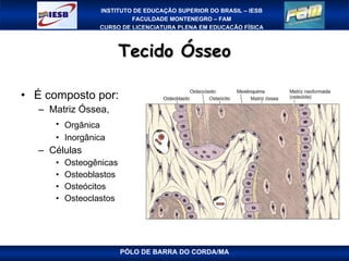 Tecido Ósseo É composto por: Matriz Óssea,  Orgânica   Inorgânica  Células Osteogênicas Osteoblastos Osteócitos Osteoclastos PÓLO DE BARRA DO CORDA/MA 