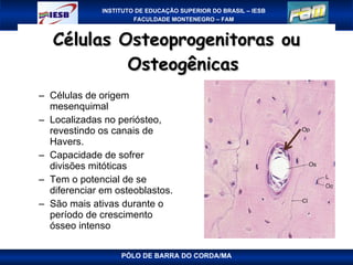 Células Osteoprogenitoras ou Osteogênicas Células de origem mesenquimal Localizadas no periósteo, revestindo os canais de Havers. Capacidade de sofrer divisões mitóticas Tem o potencial de se diferenciar em osteoblastos. São mais ativas durante o período de crescimento ósseo intenso PÓLO DE BARRA DO CORDA/MA 