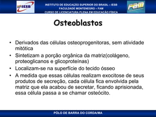 Osteoblastos Derivados das células osteoprogenitoras, sem atividade mitótica Sintetizam a porção orgânica da matriz(colágeno, proteoglicanos e glicoproteínas) Localizam-se na superfície do tecido ósseo A medida que essas células realizam exocitose de seus produtos de secreção, cada célula fica envolvida pela matriz que ela acabou de secretar, ficando aprisionada, essa célula passa a se chamar osteócito. PÓLO DE BARRA DO CORDA/MA 