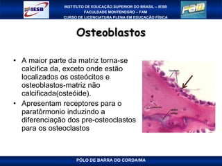 Osteoblastos A maior parte da matriz torna-se calcifica da, exceto onde estão localizados os osteócitos e osteoblastos-matriz não calcificada(osteóide). Apresentam receptores para o paratôrmonio induzindo a diferenciação dos pre-osteoclastos para os osteoclastos PÓLO DE BARRA DO CORDA/MA 