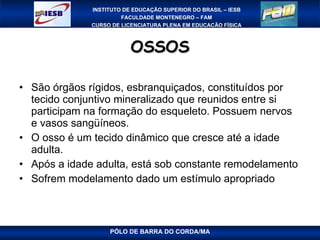 OSSOS São órgãos rígidos, esbranquiçados, constituídos por tecido conjuntivo mineralizado que reunidos entre si participam na formação do esqueleto. Possuem nervos e vasos sangüíneos. O osso é um tecido dinâmico que cresce até a idade adulta. Após a idade adulta, está sob constante remodelamento Sofrem modelamento dado um estímulo apropriado PÓLO DE BARRA DO CORDA/MA 