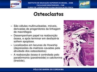 Osteoclastos São células multinucleadas, móveis, derivadas de progenitores da linhagem de macrófagos Desempenham papel na reabsorção óssea, e após terminar em desfazê-la sofrem apoptose. Localizados em lacunas de Howship (depressões da matrizes cavadas pela atividade dos osteoclastos) A reabsorção óssea é controlada pelo paratôrmonio (paratireóide) e calcitonina (tireóide). PÓLO DE BARRA DO CORDA/MA 