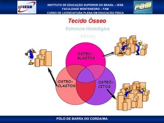 PÓLO DE BARRA DO CORDA/MA 