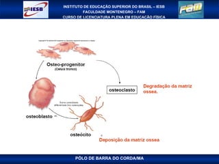 PÓLO DE BARRA DO CORDA/MA 