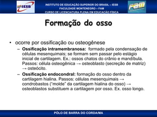 Formação do osso ocorre por ossificação ou osteogênese Ossificação intramembranosa:  formado pela condensação de células mesenquimais; se formam sem passar pelo estágio inicial de cartilagem. Ex.: ossos chatos do crânio e mandíbula. Passos: célula osteogênica -> osteoblasto (secreção de matriz) -> osteócito. Ossificação endocondral:  formação do osso dentro da cartilagem hialina. Passos: células mesenquimais -> condrobastos (“molde” da cartilagem hialina do osso) -> osteoblastos substituem a cartilagem por osso. Ex. osso longo. PÓLO DE BARRA DO CORDA/MA 