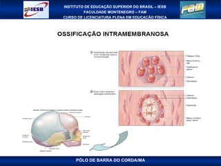 PÓLO DE BARRA DO CORDA/MA 