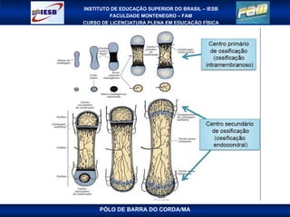 PÓLO DE BARRA DO CORDA/MA 