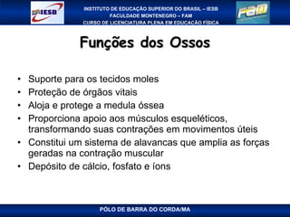 Funções dos Ossos Suporte para os tecidos moles Proteção de órgãos vitais Aloja e protege a medula óssea Proporciona apoio aos músculos esqueléticos, transformando suas contrações em movimentos úteis Constitui um sistema de alavancas que amplia as forças geradas na contração muscular Depósito de cálcio, fosfato e íons PÓLO DE BARRA DO CORDA/MA 