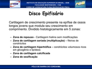 Disco Epifisário Cartilagem de crescimento presente na epífise de ossos longos jovens que modula seu crescimento em comprimento. Dividido histologicamente em 5 zonas: Zona de repouso  - Cartilagem hialina sem modificações Zona de cartilagem seriada (multiplicação)  – fileiras de condrócitos Zona de cartilagem hipertrófica  – condrócitos volumosos ricos em glicogênio e lipídeos Zona de cartilagem calcificada  Zona de ossificação PÓLO DE BARRA DO CORDA/MA 