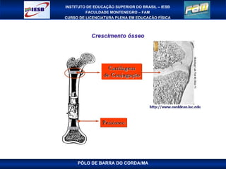 PÓLO DE BARRA DO CORDA/MA 