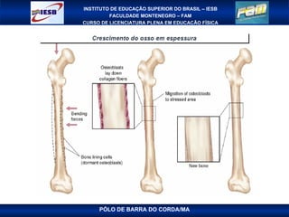 PÓLO DE BARRA DO CORDA/MA 