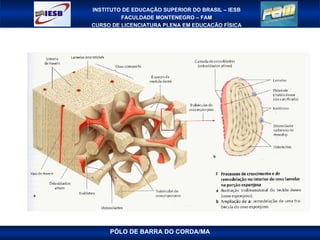 PÓLO DE BARRA DO CORDA/MA 